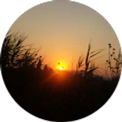 Profile photo of Temor