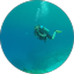 Profile photo of Sarah Carty