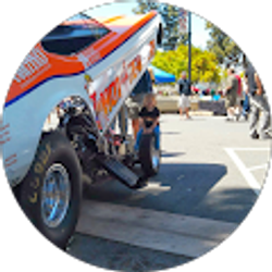 Profile photo of alex miladinovich