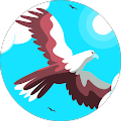 Profile photo of c wideman