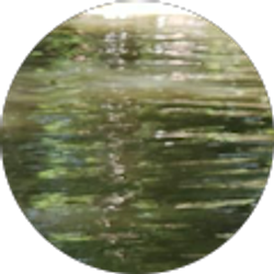 Profile photo of Ange Sandoval