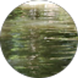 Profile photo of Ange Sandoval