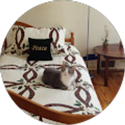 Profile photo of Sue Martinelli