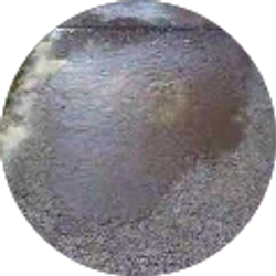 Profile photo of Jeremy Robinson