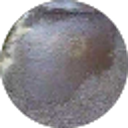 Profile photo of Jeremy Robinson