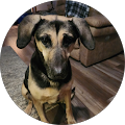 Profile photo of Margaret Farler