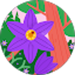 Profile photo of Roxanne Murwin