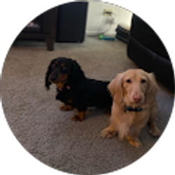 Profile photo of Marco Muñiz