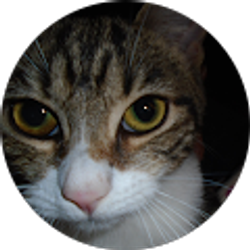 Profile photo of Jen Donaldson