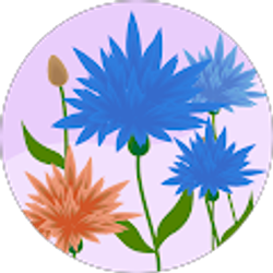 Profile photo of Sarah Myrvik