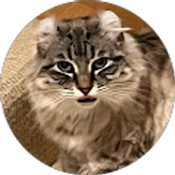 Profile photo of S M Seide