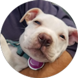 Profile photo of Cathy Fuller