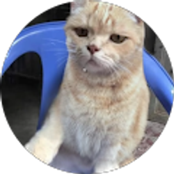 Profile photo of Leo Ibarra