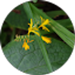 Profile photo of John Neuenschwander