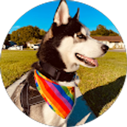Profile photo of David Sandoval