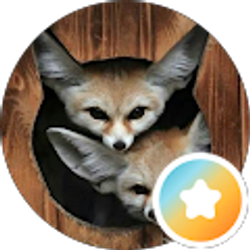 Profile photo of Elenoir Powers (Foxy Fluff)