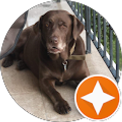 Profile photo of Konrad Solecki