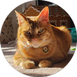 Profile photo of Galen Swogger