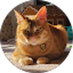 Profile photo of Galen Swogger