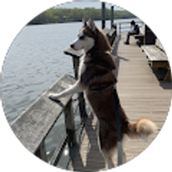 Profile photo of Emil Limache