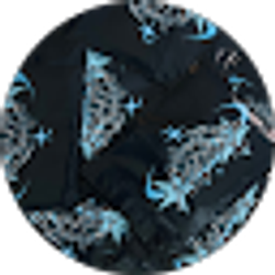 Profile photo of Limited Looks