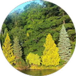 Profile photo of Elysia Hillmyer