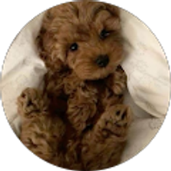 Profile photo of Frank E