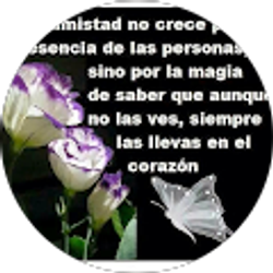 Profile photo of Martha Santos