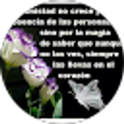 Profile photo of Martha Santos