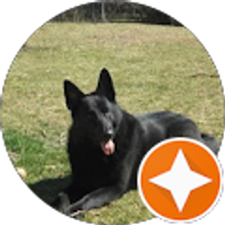 Profile photo of Philip C