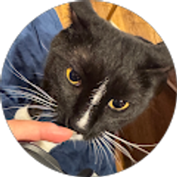 Profile photo of Mai Lynn