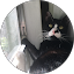 Profile photo of Maya Miller
