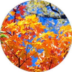 Profile photo of Philip Lee