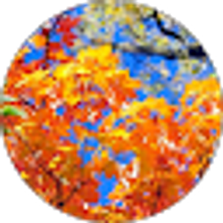 Profile photo of Philip Lee