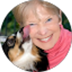 Profile photo of Laverne Shell
