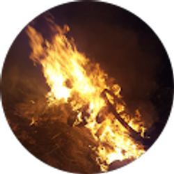 Profile photo of Steven Vendetta