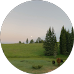 Profile photo of Astasia Gomez