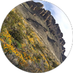 Profile photo of Nene Pacheco