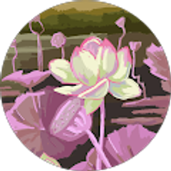 Profile photo of Lina A