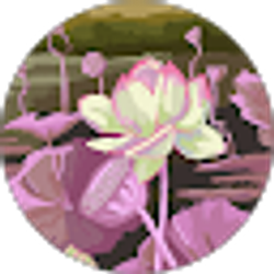 Profile photo of Lina A