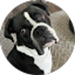 Profile photo of Charlene Azevedo