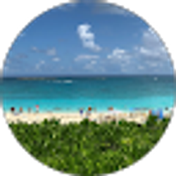 Profile photo of Bx 178