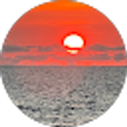 Profile photo of Miguel Perez