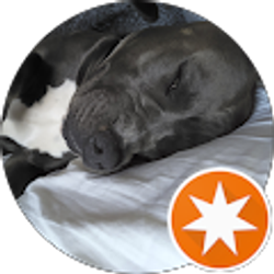 Profile photo of B Sanchez