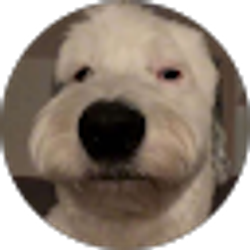 Profile photo of Trevor Klein