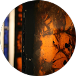 Profile photo of Brian Scott