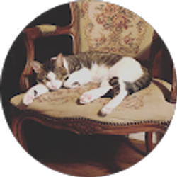 Profile photo of Angelica Ramirez