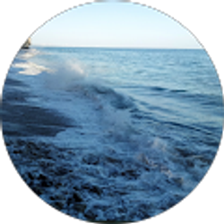 Profile photo of Donna Long