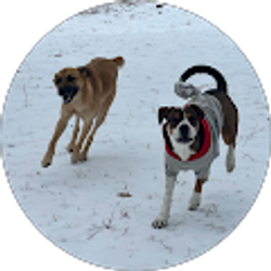 Profile photo of Sebastian Clark