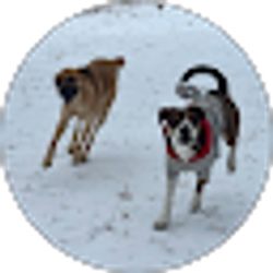 Profile photo of Sebastian Clark